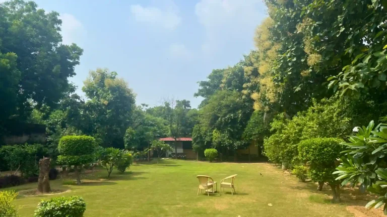 Garden area at The Healing Room